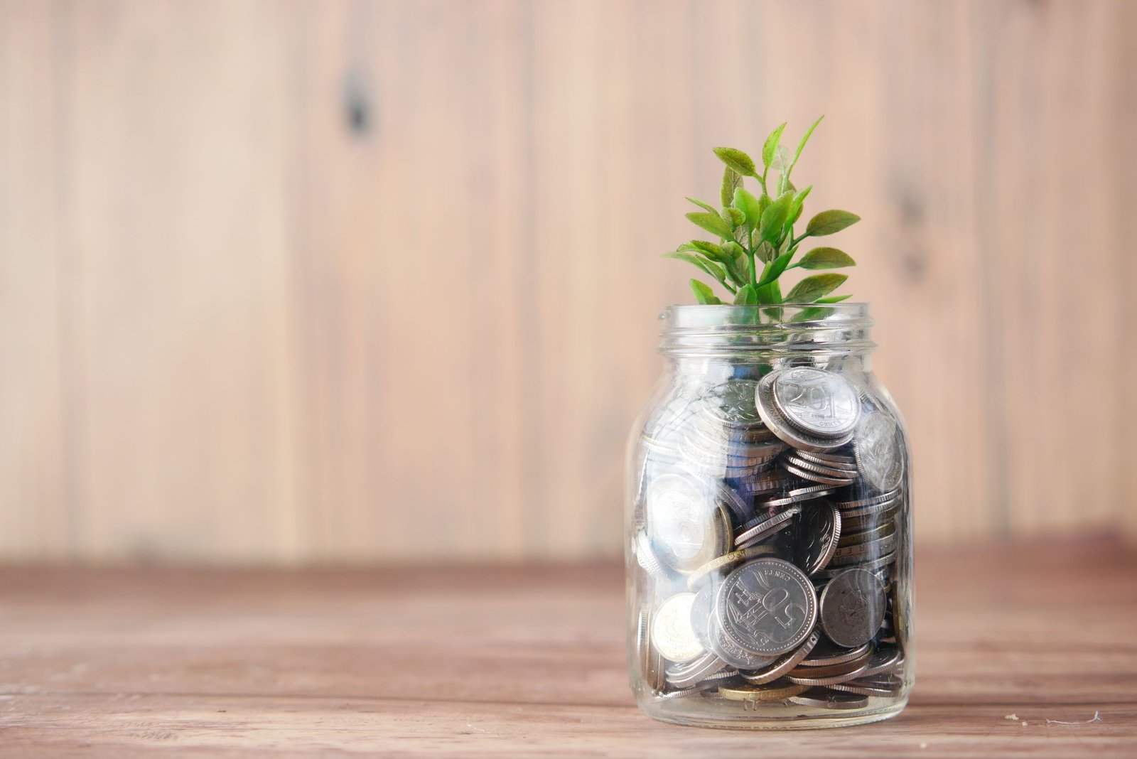 Types of Savings Accounts, Explained Simply